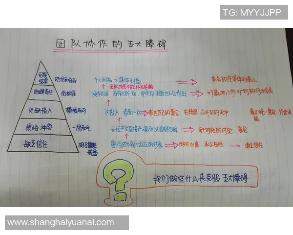 武汉足球队进攻体系解析：战术创新与团队协作的完美结合