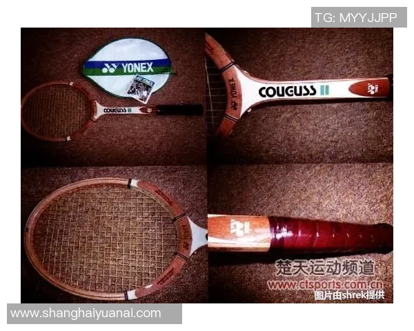 西安羽毛球队运营分析:成功经验与不足之处的深度探讨 西安羽毛球队运营分析:成功经验与不足之处的深度探讨