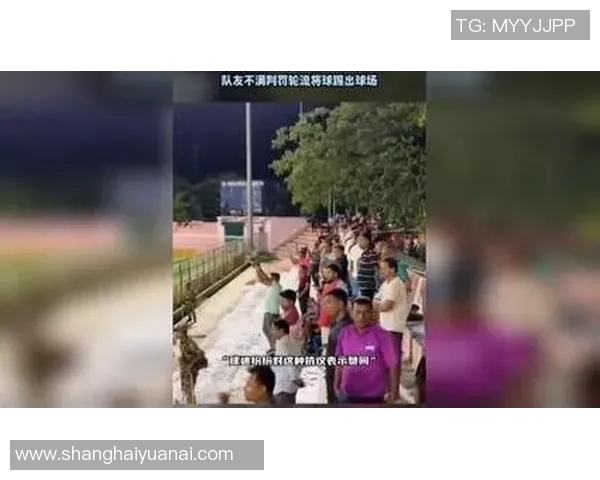 足球明星因激动情绪飞踢球迷引发热议球场安全问题再度被关注 足球明星因激动情绪飞踢球迷引发热议球场安全问题再度被关注