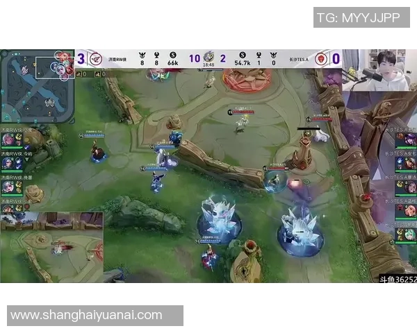 王者荣耀热议:TES的个人能力争议 王者荣耀热议:TES的个人能力争议